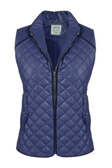 Azone Angvns Women Winter Warm Casual Stand Neck Sleeveless Plaid Zip Vest Waistcoat (Blue)  