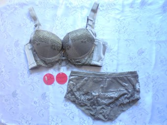 Love Secret Sexy Lace Satin Bra & Panties ~ Lace Silver (Size A/B) 8102  