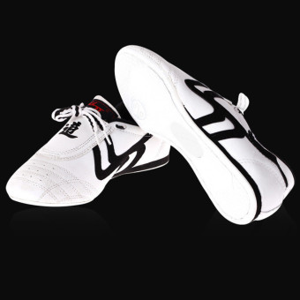 New Unisex Taekwondo Kung Fu Karate Tai Chi Training Shoes Footwear Sneakers - intl  
