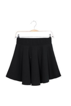 Pleated Flared Skirt (Black)  