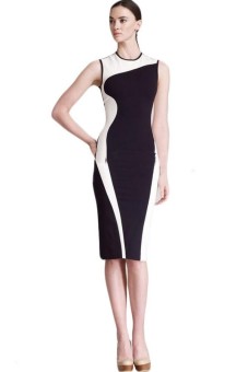 Stretch Bodycon Slim Dress Plus Size (White)  