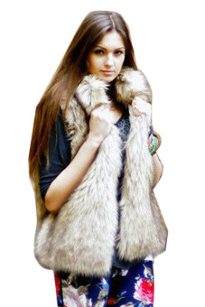 Sunweb New Fashion Women's Faux Fur Vest Medium Long stand Collar Jackets Coat Vest Waistcoats (Grey) (Intl)  