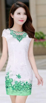 Women's Fashion Dresses Chinese Style Elegant Shoulder Wrap High-silt Cheongsam?green? - intl  