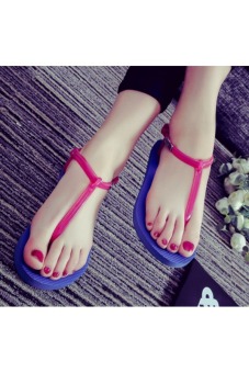 Womens Fashion Flip Flop Flat Sandals (Blue)  