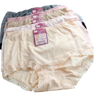 Yadaili Maxi Panty-12pieces  