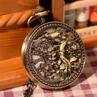 jinma Roman Numerals Steampunk Watch Fullmetal Alchemist Pocket Fob Watches Mechanical Watches With Chain relogio de bolso PW118 (Bronze) - intl  