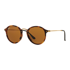 Ray-Ban Round Fleck Crystal RB2447F 1160 Sunglasses - Brown