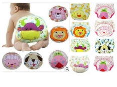Bayi Online Shop Training Pants / Celana Untuk Toilet Training Motif Cowok