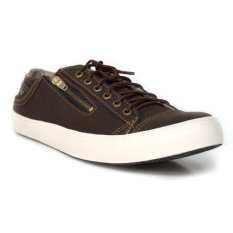Black Master Velaqsus - Coklat