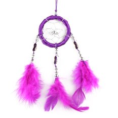 Handmade Dream Catcher With Feathers Wall Hanging Decoration (Purple)