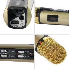 Hifier MC-094 Portable Handheld Microphone Mini Karaoke Player (Gold) - INTL