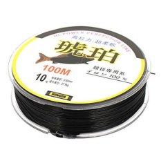Ilife Black 27.5kg Load 0.6mm Dia Nylon Fishing Line Thread Reel 100M 10