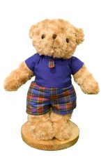 Maru Cute Teddy Bear + Casual Boy