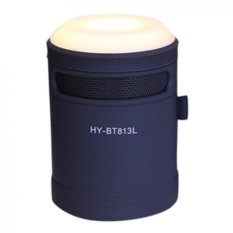 Mini Portable Wireless Bluetooth Speaker Amplifier Lights BT813L Black - Intl