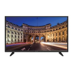 Panasonic 22D305 - 22