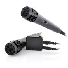 Portable Karaoke Player With 2 Microphones