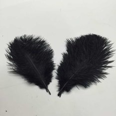 RIS 10pcs Ostrich Feather Crafts for Costume Hats Cards DIY Decor-Black (Intl)