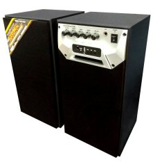 Roadmaster Speaker Aktif RMG-150 USB - Hitam