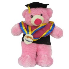 Spicegift Boneka Teddy Bear Wisuda - Pink Muda