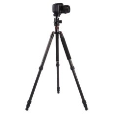 Triopo GT-2804X8.C Adjustable Portable Carbon Fiber Tripod with B-2 Aluminum Ball Head for Canon Nikon Sony DSLR Camera (Black) (Intl)