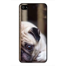 Y&M Sadness Puppy iPhone 5/5s Phone Case (Multicolor)