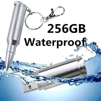 Gambar 256GB New Fashion Bullet USB Flash Memory U Disk Flash Drive 2Colors silver   intl