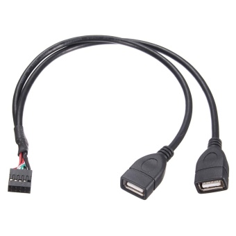Gambar 9pin USB2.0 two expansion cable 9 pin motherboard to USB female   intl