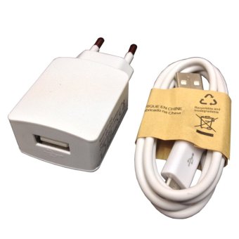 Gambar Digbanks Travel Charger for Oppo Neo 5   Putih   2 Ampere