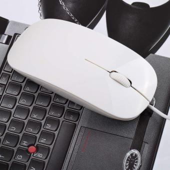 Mouse: Mouse Kabel USB Sangat Tipis 1600DPI Mouse Untuk PC Notebook  