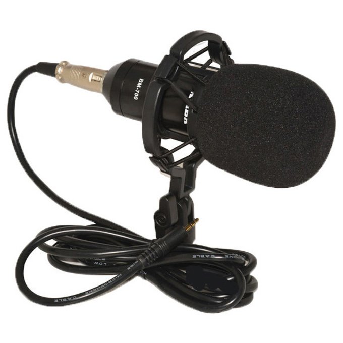 Professional Condenser Studio Microphone with Shock Proof Mount - BM700