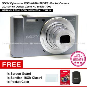 SONY Cyber-shot DSC-W810 (SILVER) Pocket Camera 20.1MP 6x Optical Zoom HD Movie 720p + Screen Guard + Sandisk 16Gb + Pocket Case  