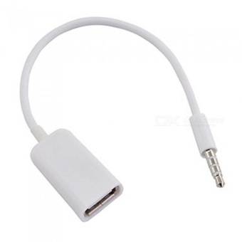 Gambar SZKINSTON 3.5mm Male AUX Audio to USB 2.0 Female OTG Audio Line  intl