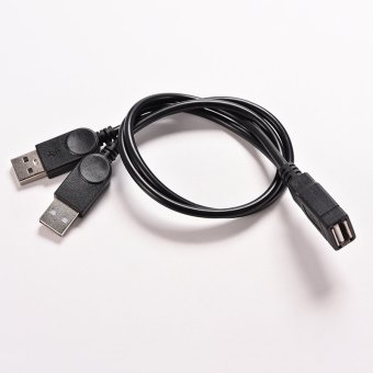 Gambar USB 2,0 Female untuk 2 ganda USB Hub adaptor daya Y Male kabelpemisah