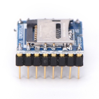 Gambar Voice Module Mp3 Sound U Disk Audio Player Tf Sd Card Wtv020 Sd 16pFor Arduino   intl