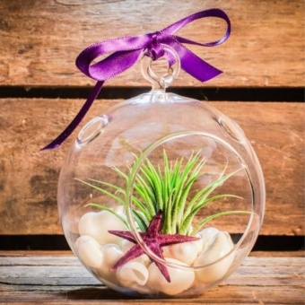 8 PCS/Lot 80MM Hanging Tealight Holder Glass Globes TerrariumWedding Candle Holder Candlestick - Intl Juni 2019 - 4 8 PCS/Lot 80MM Hanging Tealight Holder Glass Globes TerrariumWedding Candle Holder Candlestick - intl - 4