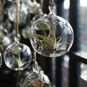 8 PCS/Lot 80MM Hanging Tealight Holder Glass Globes TerrariumWedding Candle Holder Candlestick - Intl Juni 2019 - 3 8 PCS/Lot 80MM Hanging Tealight Holder Glass Globes TerrariumWedding Candle Holder Candlestick - intl - 3