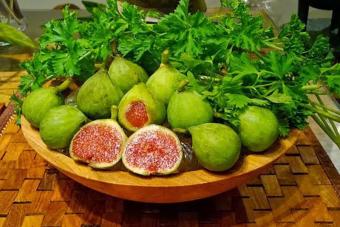 BELI SEKARANG berisi 5 biji benih buah tin Klik di sini !!!