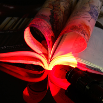 Mini Portabel Lampu Obor Senter Sinar UV Lampu (merah Terang) Desember 2018 - 2 Mini portabel lampu obor senter sinar UV lampu (merah terang) - 2