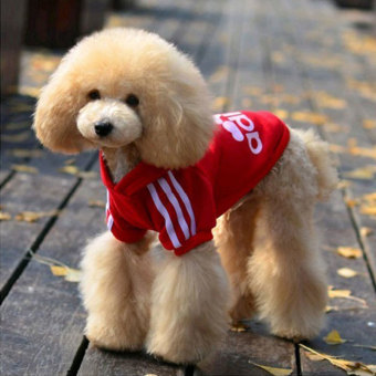 NiceEshop Warm Cotton Pet Dog Cat Puppy T Shirt Hoodies Coat Clothes Apparel (Red,L) Juni 2018 - 3 niceEshop Warm Cotton Pet Dog Cat Puppy T Shirt Hoodies Coat Clothes Apparel (Red,L) - 3