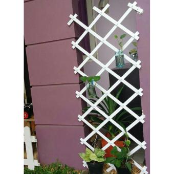 Pagar Tanaman Rambatan 0,5 X 1,5 M - Putih Desember 2018 - 2 Pagar Tanaman Rambatan 0,5 x 1,5 M - Putih - 2