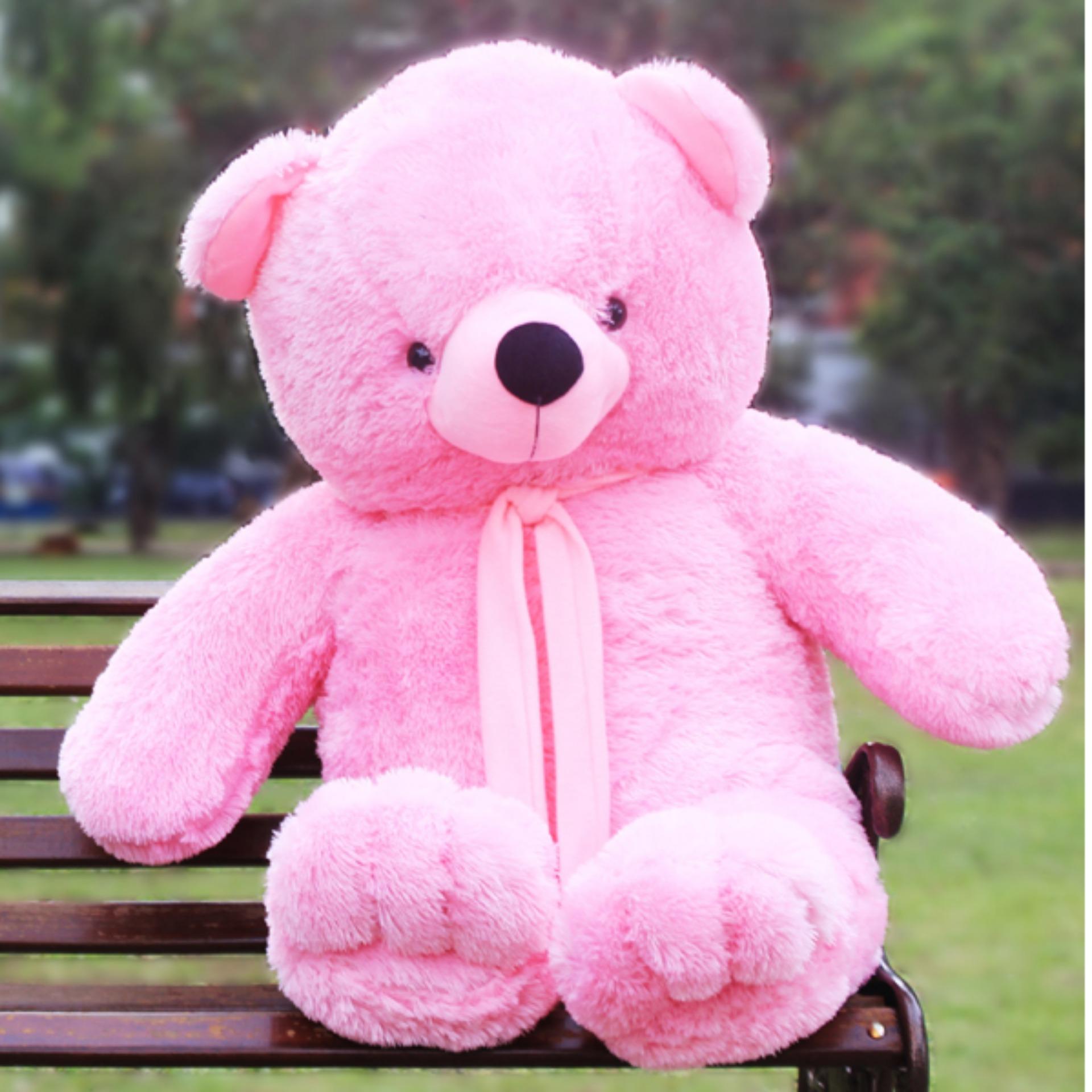 TBO Boneka Beruang Besar Pink Lazada Indonesia
