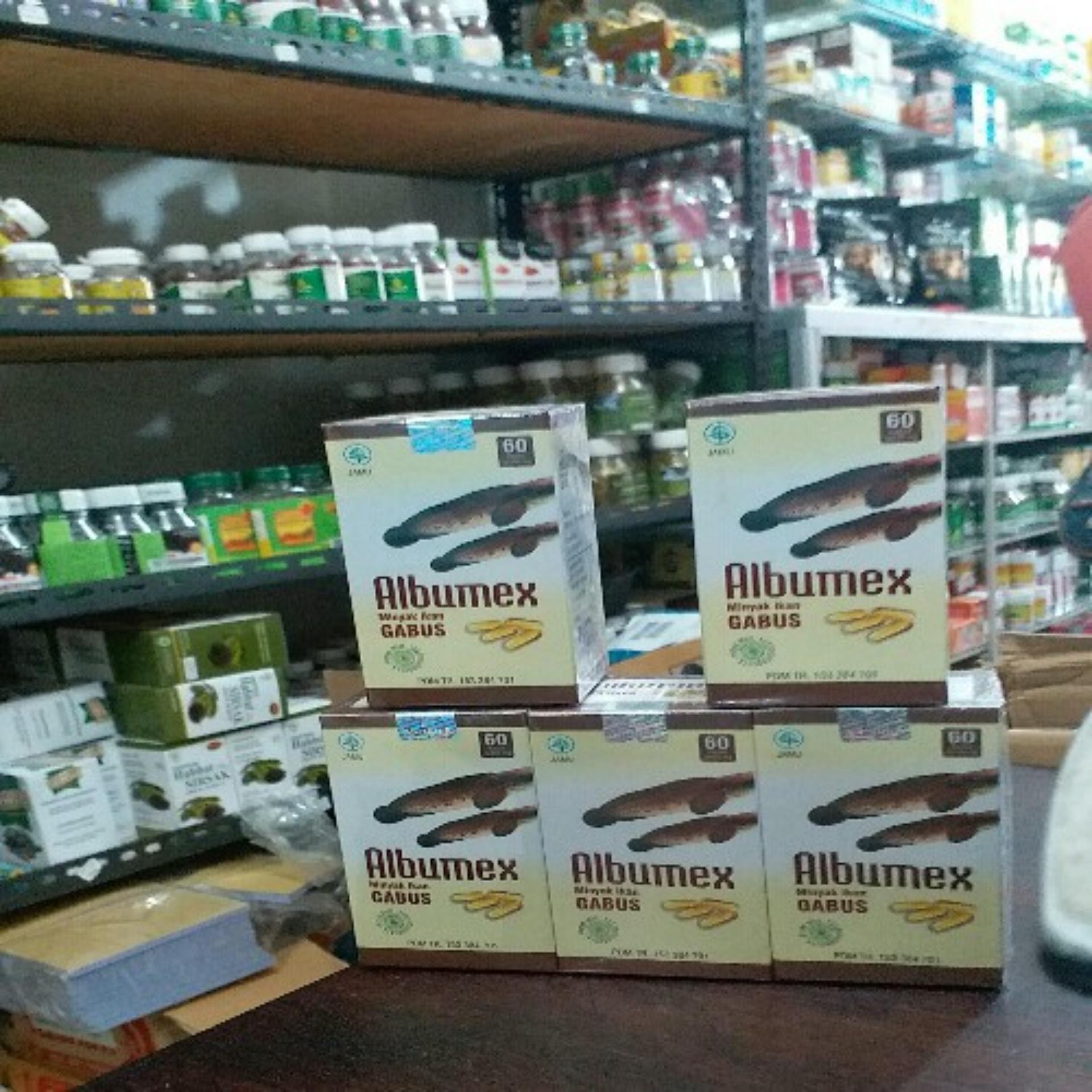 Pro Albumin 100 Ekstrak Ikan Gabus Kutuk Kapsul Albumin pro albumin 100 ekstrak ikan gabus kutuk kapsul albumin