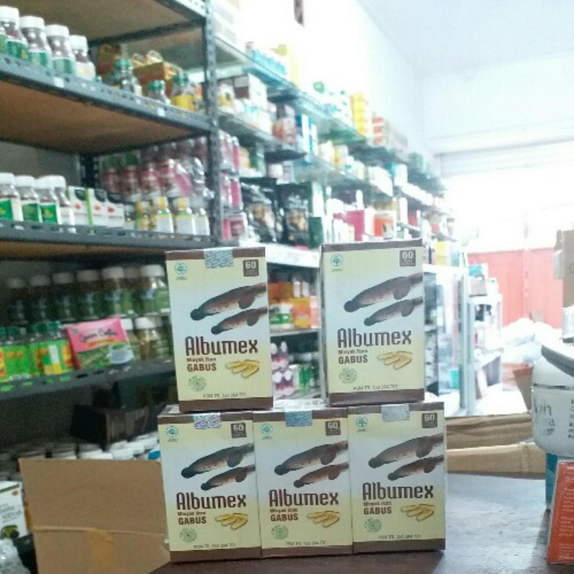 Pro Albumin 100 Ekstrak Ikan Gabus Kutuk Kapsul Albumin pro albumin 100 ekstrak ikan gabus kutuk kapsul albumin