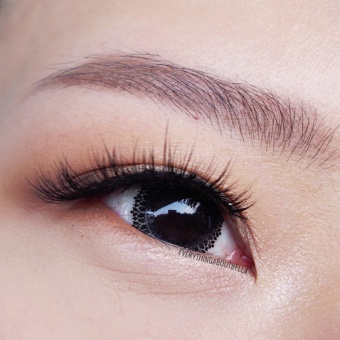 harga softlens x2 zuhra black normal indonesia harga softlens x2 zuhra black normal indonesia