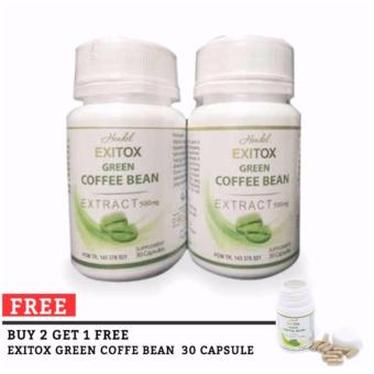 Gambar Wellness Green Coffee Bean Hendel Exitox Extract 500Mg   PelangsingAlami   Obat Diet   Pelangsing Herbal   30 Kapsul