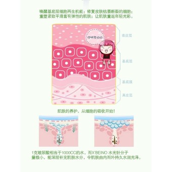 X'beino - Whitening Moisturizing Protein Cream - 3 Pcs April 2018 - 5 X'beino - Whitening Moisturizing Protein Cream - 3 Pcs - 5
