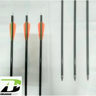 Anak Panah Fiber 8mm November 2019 - 2 Anak panah Fiber 8mm - 2