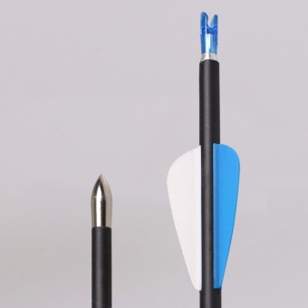 Paket Hemat Carbon Arrow High Quality Anak Panah Cocok Untuk Latihan Panahan Isi 6 Buah Maret 2019 - 3 Paket Hemat Carbon Arrow High Quality Anak Panah Cocok Untuk Latihan Panahan Isi 6 Buah - 3
