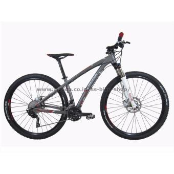 Polygon Sepeda MTB 29\\\