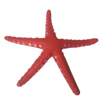 Gambar 1pc Glowing Plastic Aquarium Fake Artificial Starfish Aquatic Ornament(Red) S   intl